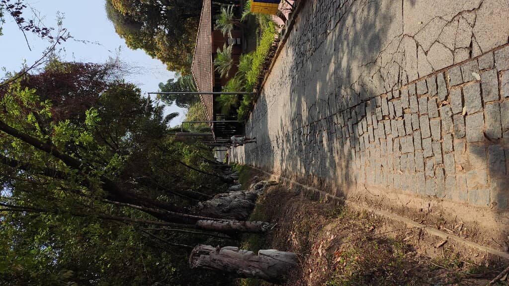 Vertical photo