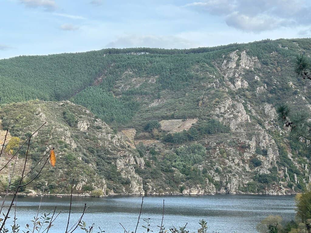 Cloistered Tranquility