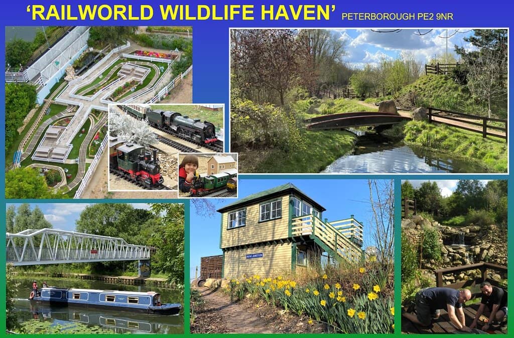 Wildlife Haven & Gardens