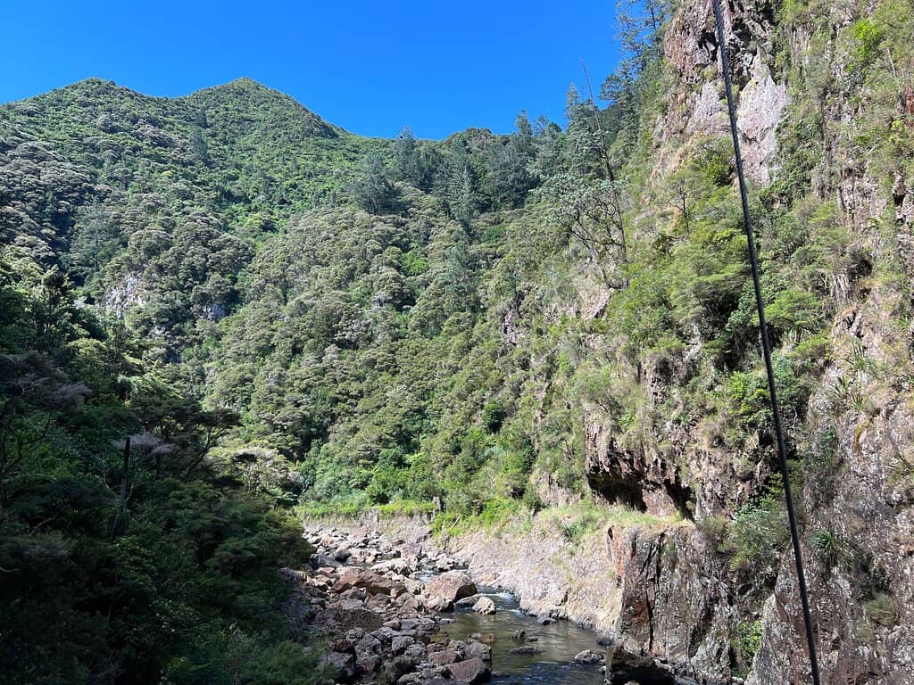 Vertical photo