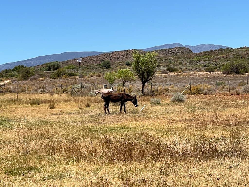 Book & Gift Shop Treasures