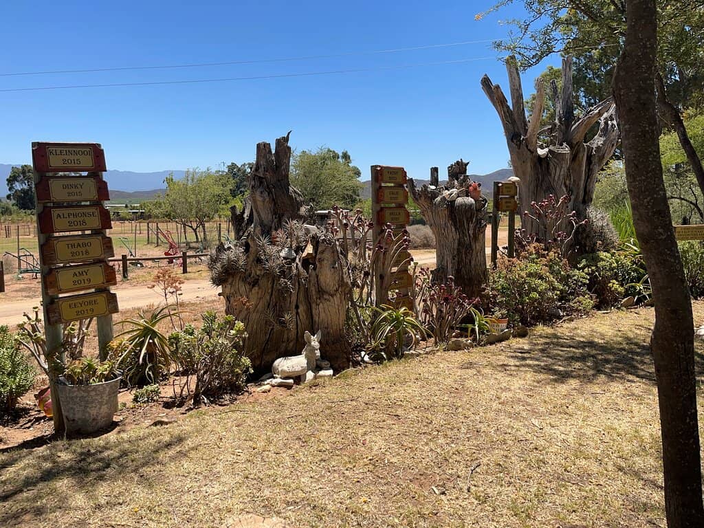 Cozy Coffee Shop Delights