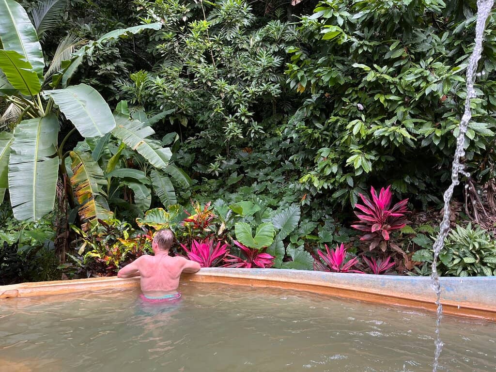 The Scenic Jungle Path