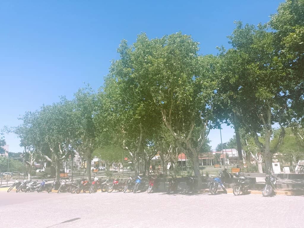 Well-Maintained Green Space