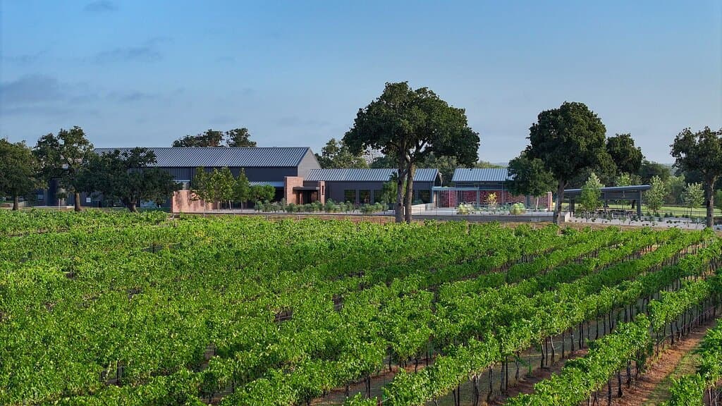 Brand new urban chic tasting room surrounded by 35 acres of estate vineyards.