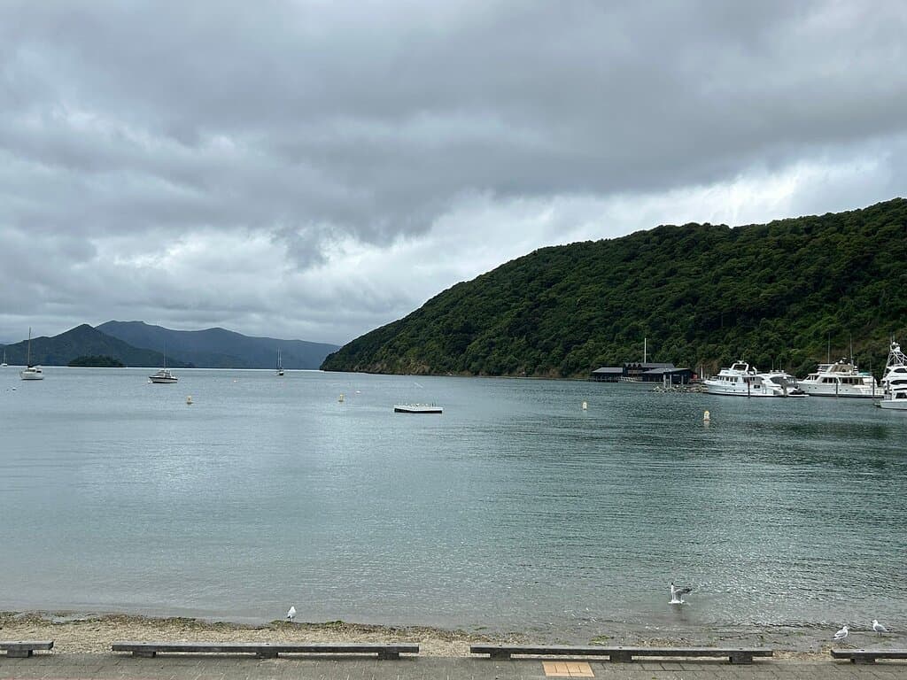 Picton Ferry Terminal