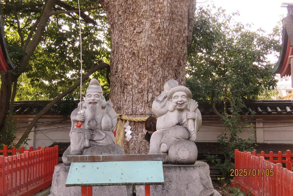 Kusunoki Trees
