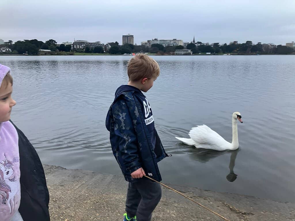 The Boating Lake