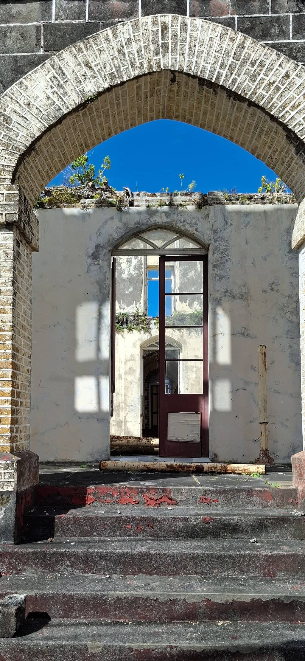 Vertical photo