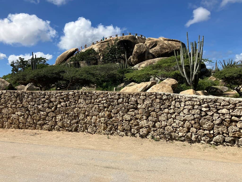 Burrowing Owl Spotting