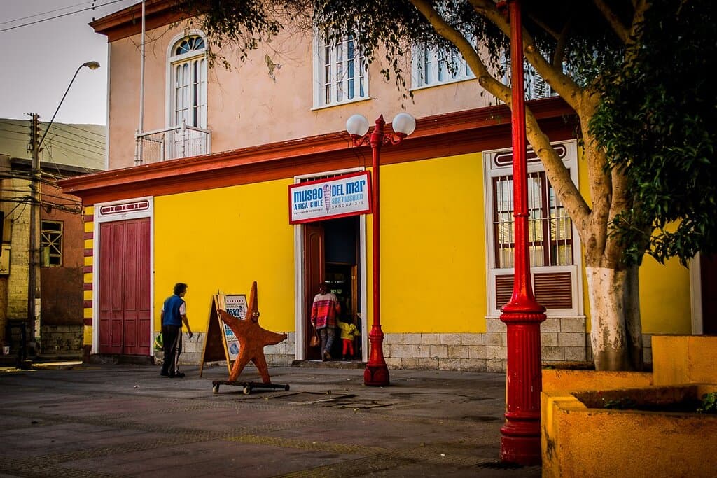 Somos el Museo Malacológico y de Especies marinas con la colección más grande de Chile! Bienvenidos!