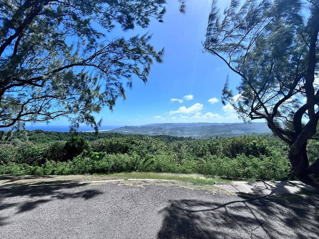 Farley Hill Great House Ruins