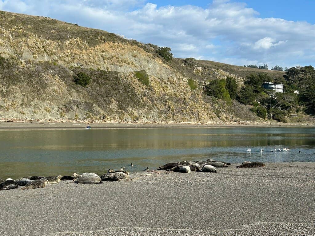 Russian River Mouth
