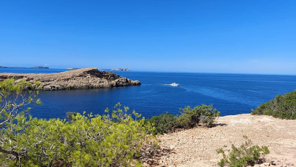 Cliff Jumping Opportunities