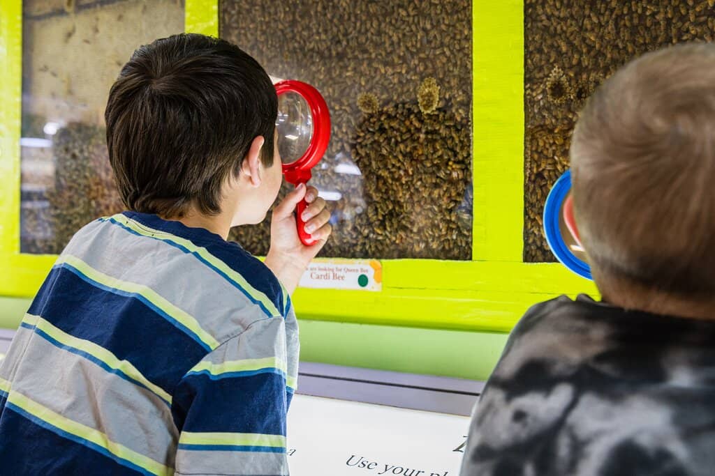 Honey Tasting Experience