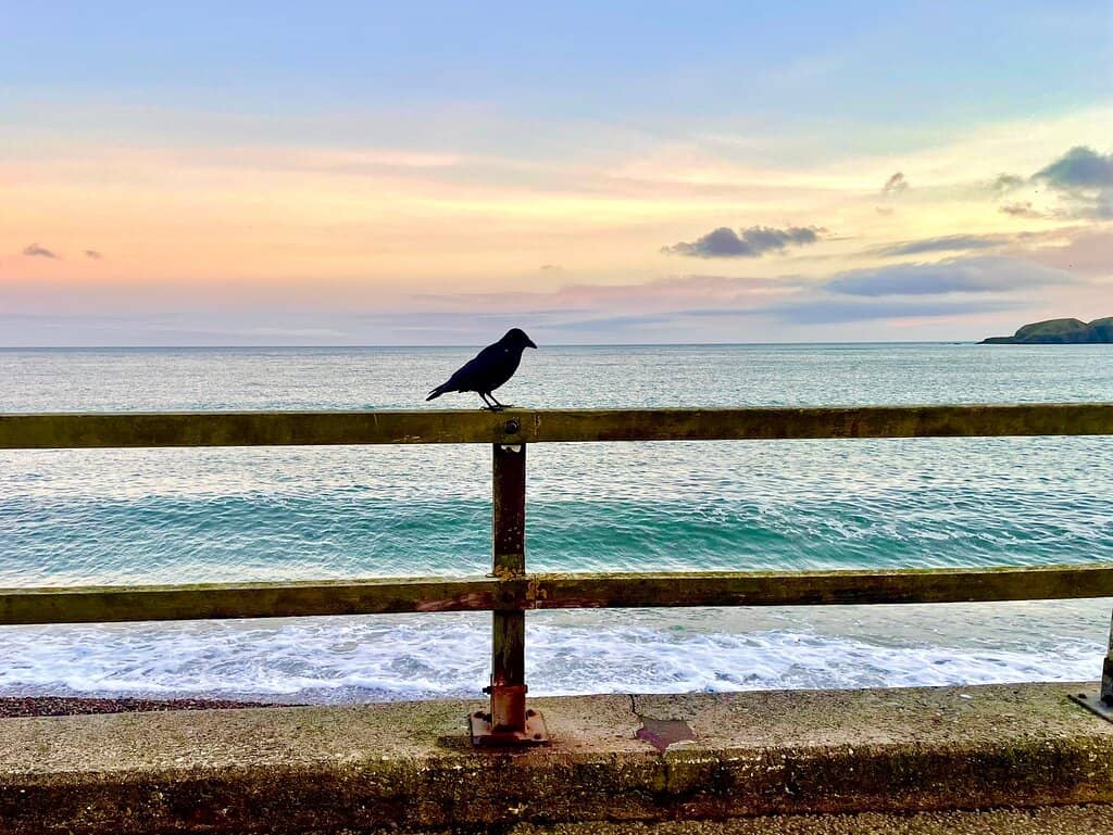 Vertical photo