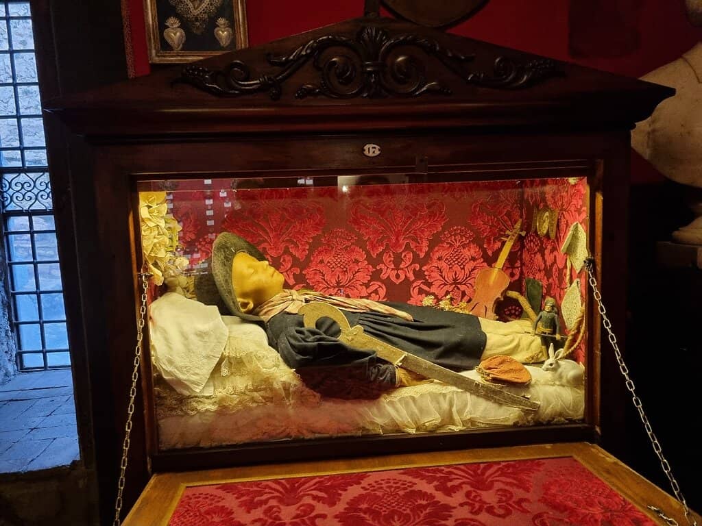 The Enchanting Gardens