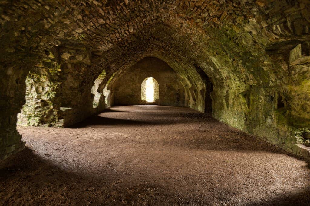 Medieval Ruins