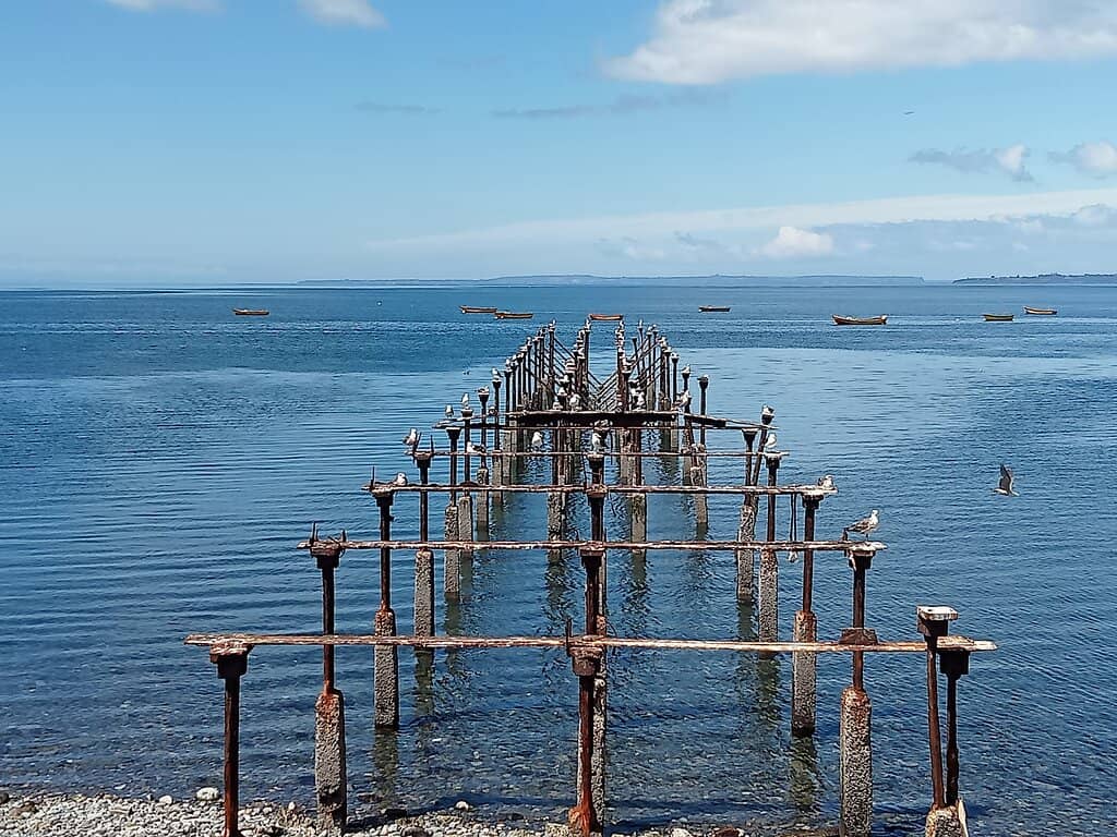 Ocean Views & Wildlife