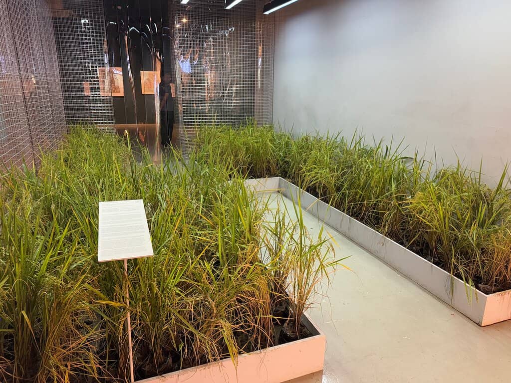 Interactive & Engaging Space