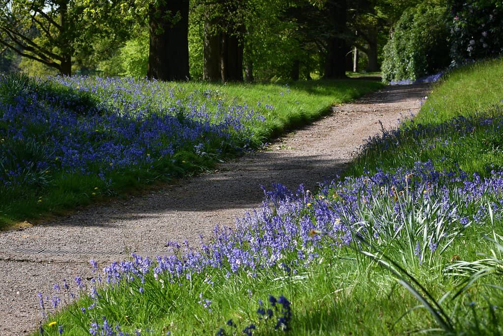 Capability Brown Parkland