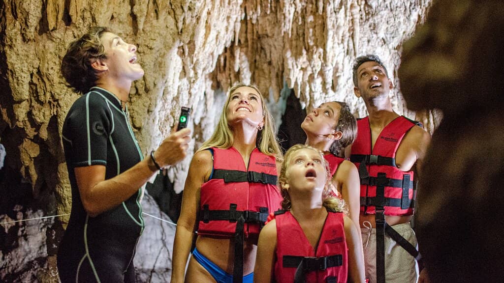 Whale Shark Encounters