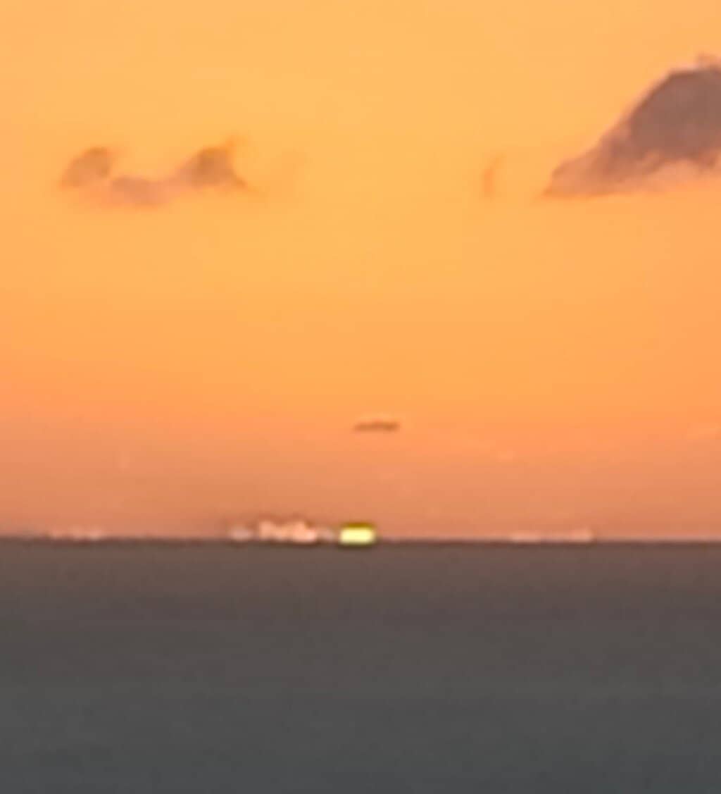 Green Turtle Conservation