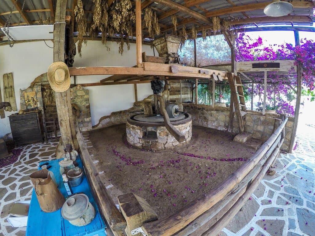Our traditional Olive Oil Factory