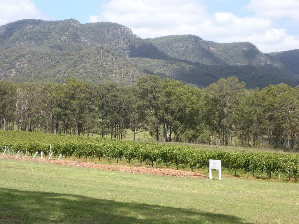Hunter Valley Chardonnay