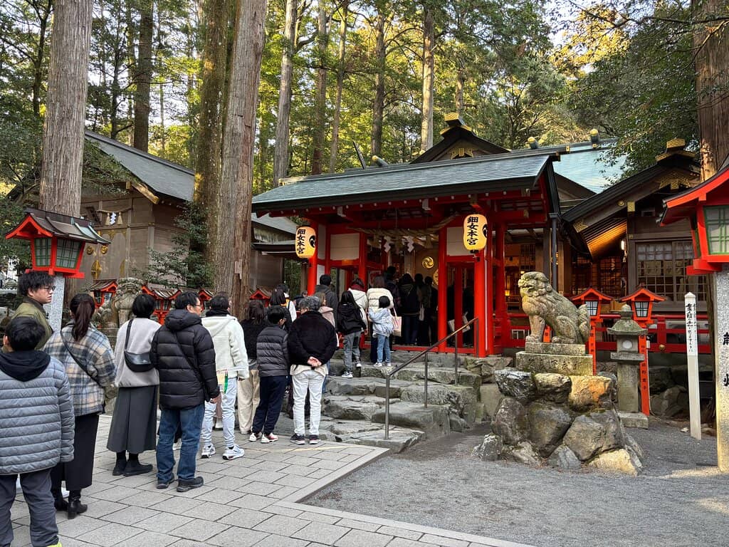 Waterfall and Koi Pond