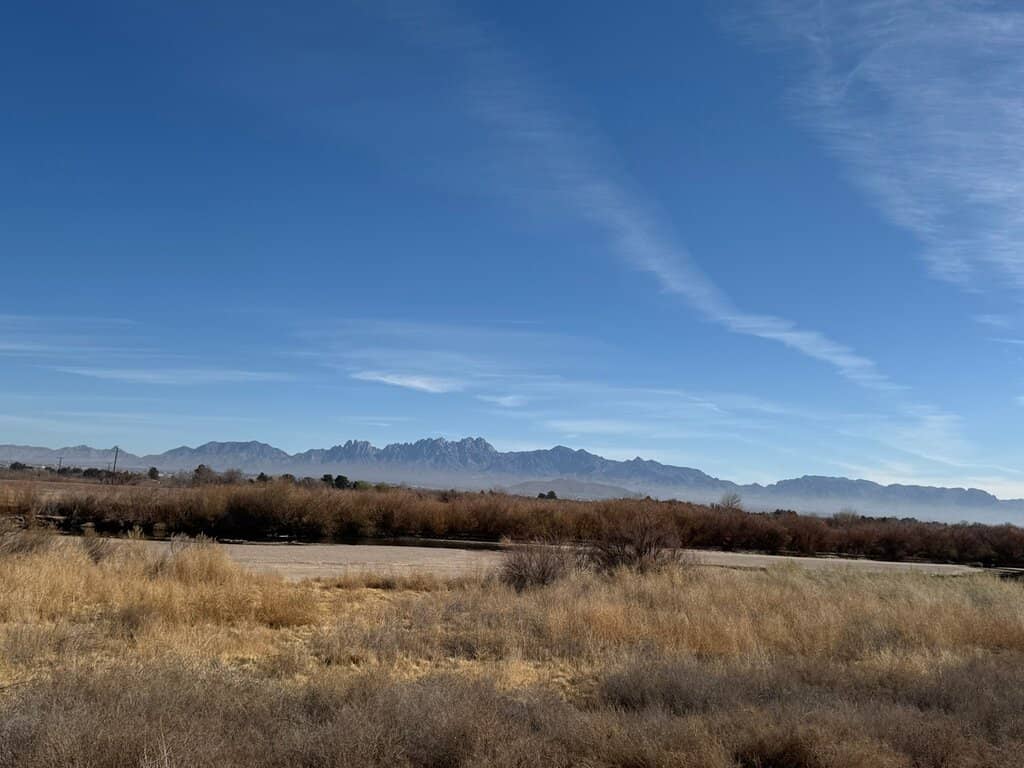 Birdwatching Hotspots