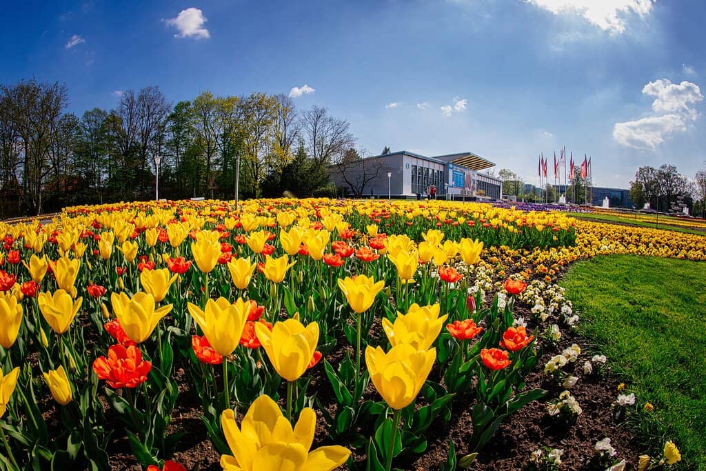 Giant Pumpkin Sculptures