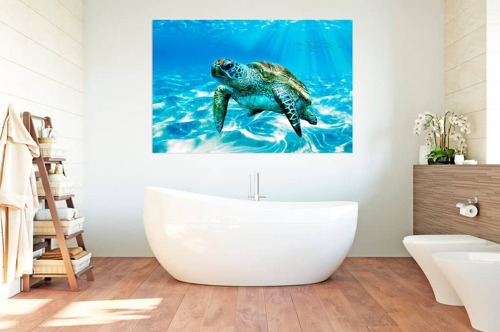 Vibrant Canvas Artwork