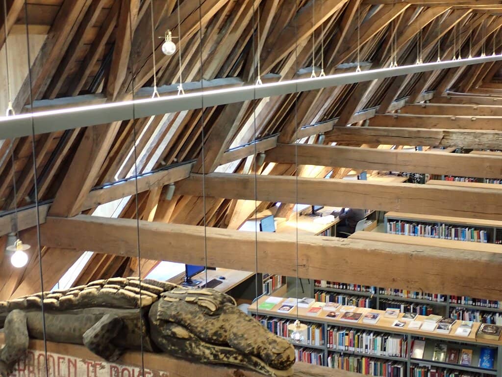 Diverse Book Collection