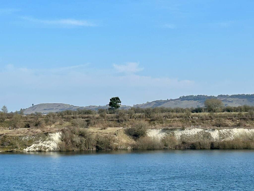 Birdwatching Hides