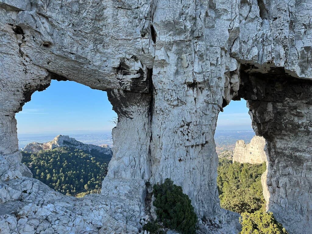 Vertical photo