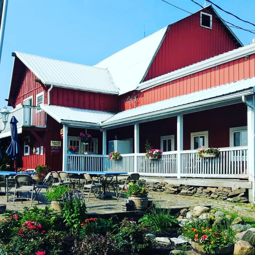 Lively Run Dairy