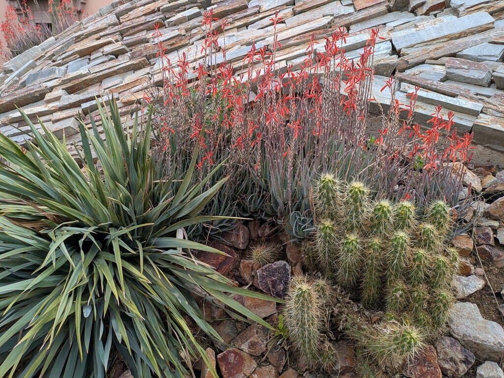 Small part of a garden