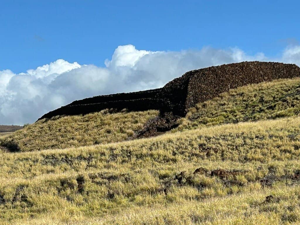 Visitor Center & Exhibits