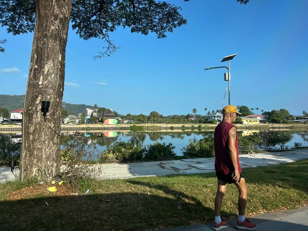 Evening Breeze & Local Buzz