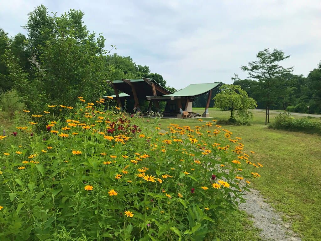 Hudson Crossing Park has extensive native plant gardens which attract pollinators of all kinds.
