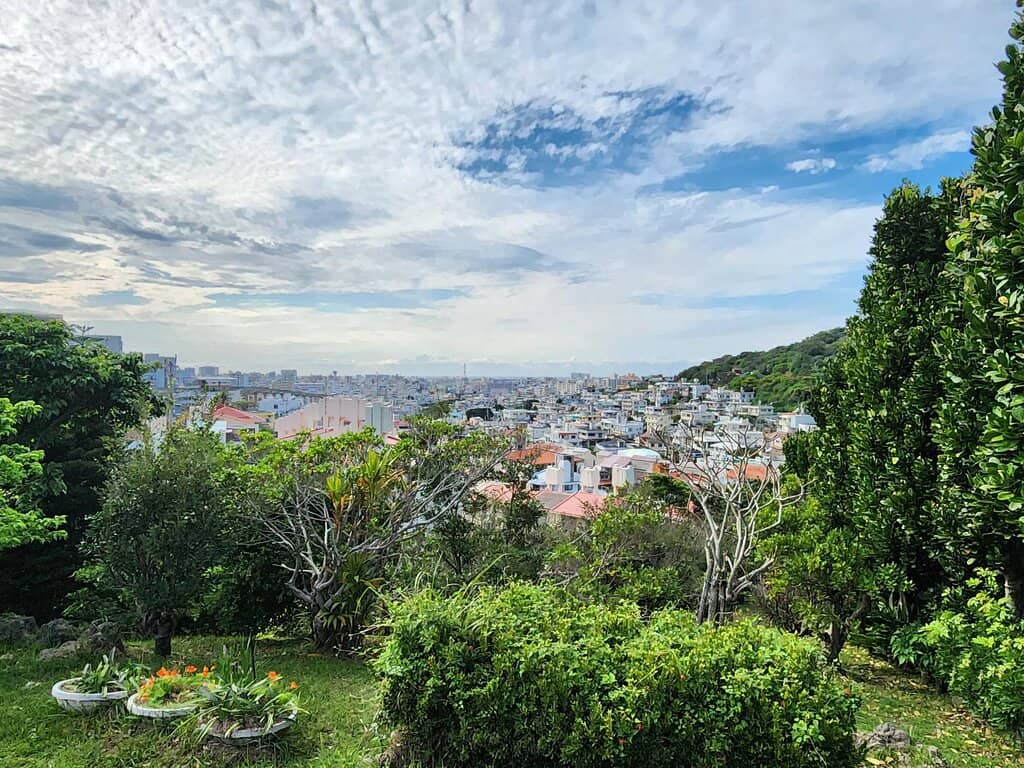 Panoramic City Views