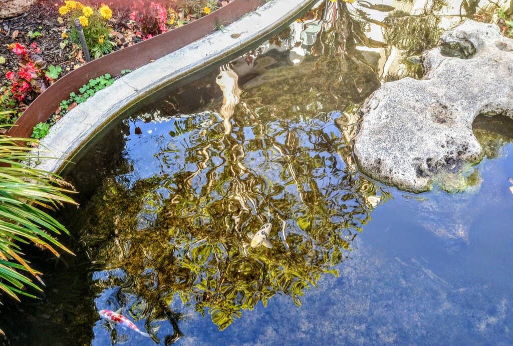 Tranquil Courtyard & Garden