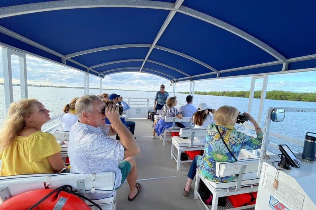 White pelicans, dolphins and manatees are common sightings