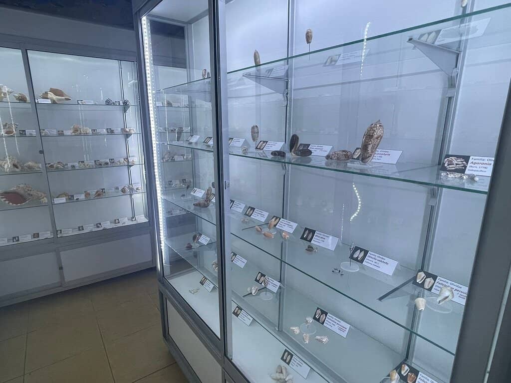 Live Marine Aquariums