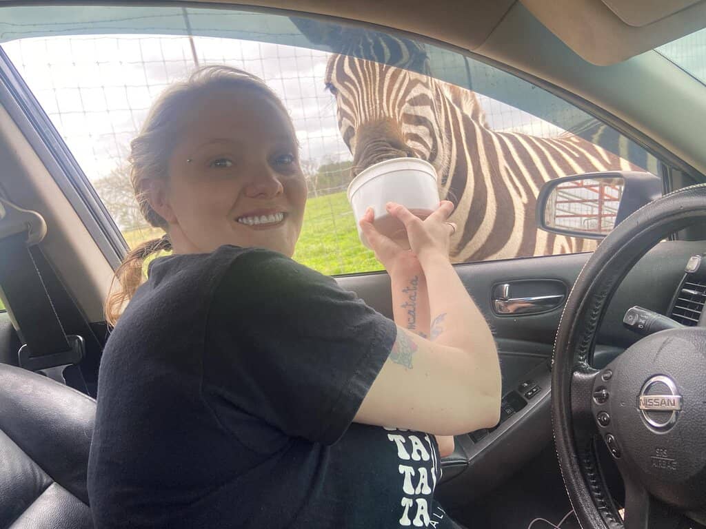 Diverse Animal Encounters