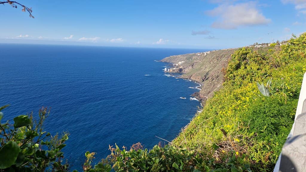 Enchanting Botanical Garden