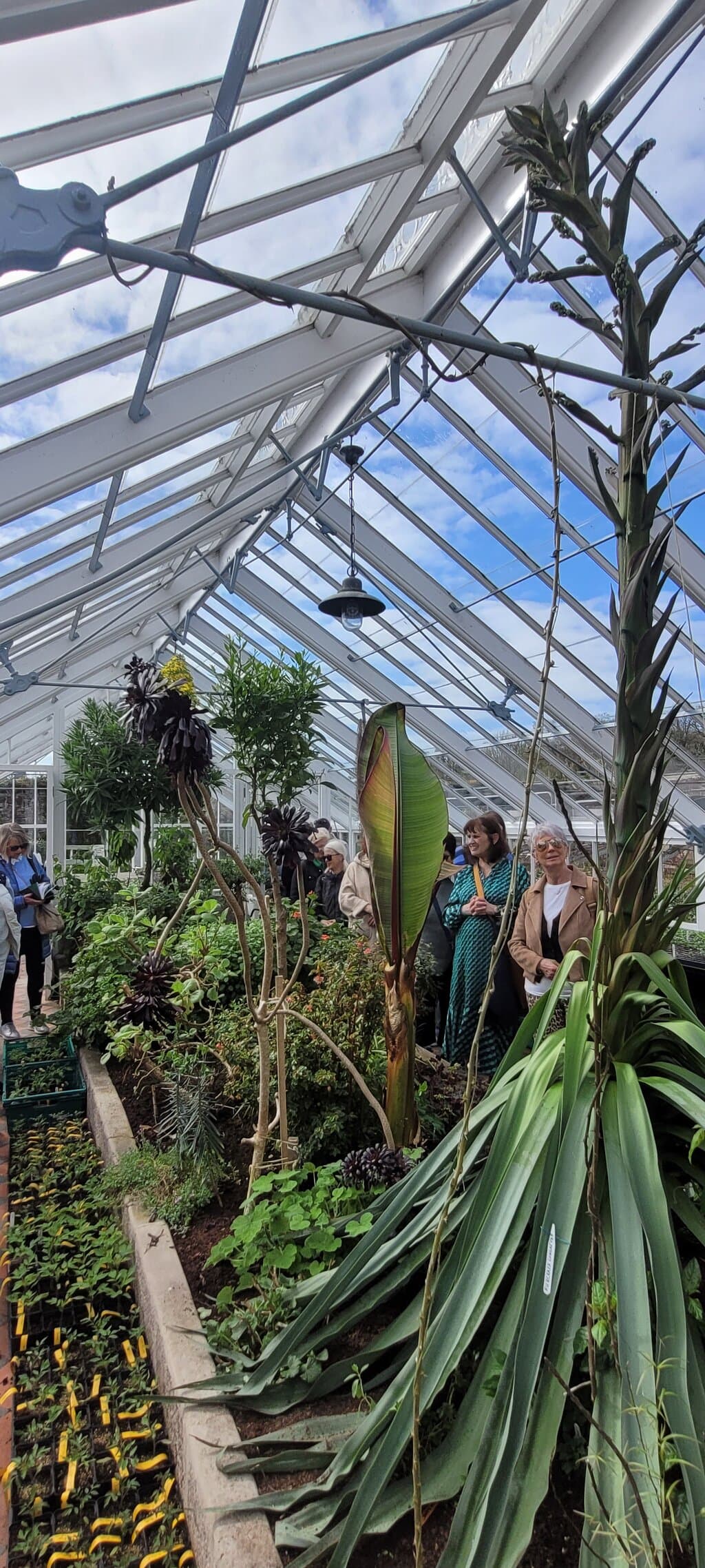 Fota House Arboretum and Gardens