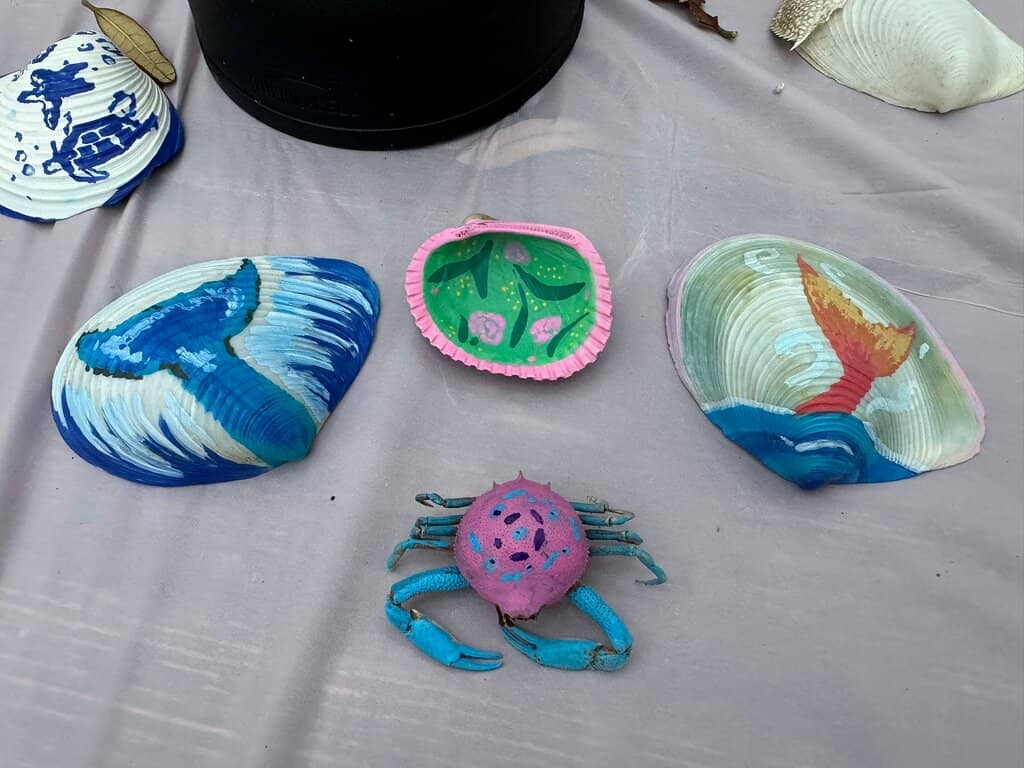 Secluded Beach Camping