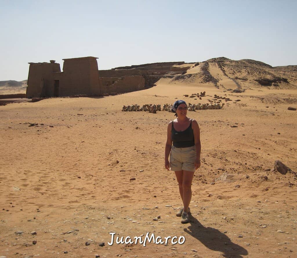 Colossus of Ramses II